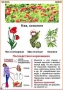 Комплект кодотранспарантов "Ядовитые растения" - fgospostavki.ru - Верхняя Пышма